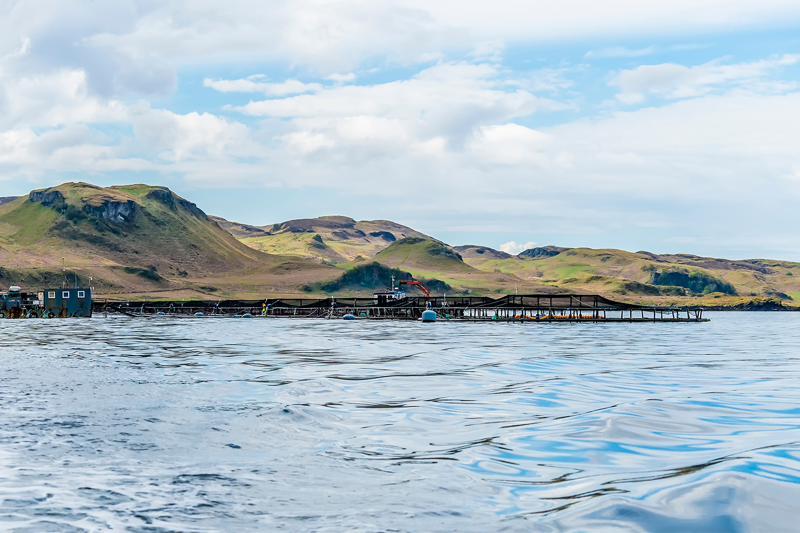 Scottish Sea Farms Oban